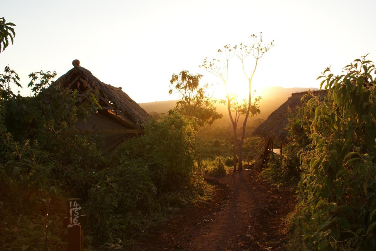 Crater Forest Tented Lodge Karatu Zewnętrze zdjęcie
